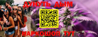 гидра Шебекино