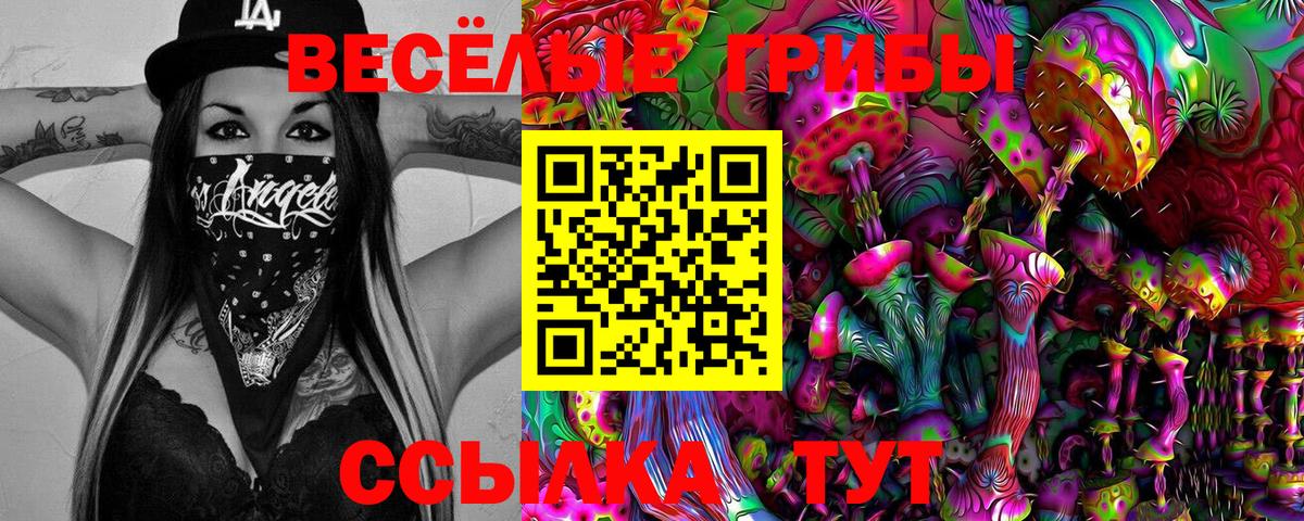 Галлюциногенные грибы мухоморы  Галлюциногенные грибы Psilocybine cubensis  где продают наркотики  Волгоград  Вход с VPN 